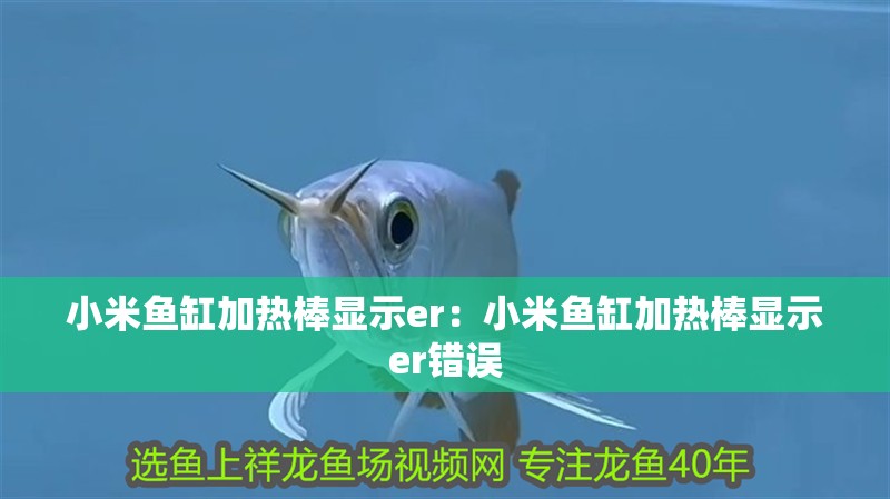 小米魚缸加熱棒顯示er：小米魚缸加熱棒顯示er錯誤