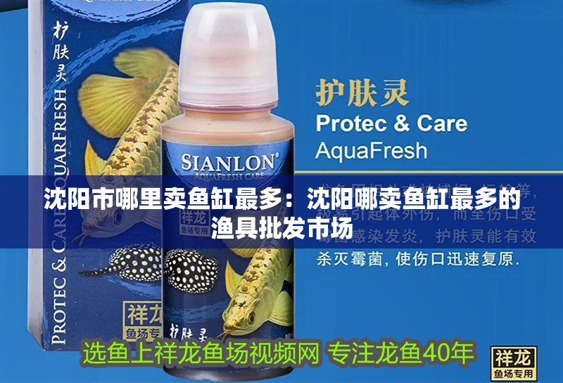 沈陽市哪里賣魚缸最多：沈陽哪賣魚缸最多的漁具批發市場