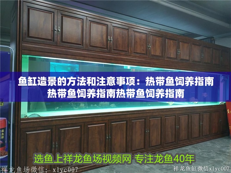 魚缸造景的方法和注意事項：熱帶魚飼養指南熱帶魚飼養指南熱帶魚飼養指南 魚缸造景的方法和注意事項：熱帶魚飼養指南熱帶魚飼養指南熱帶魚飼養指南 魚缸百科