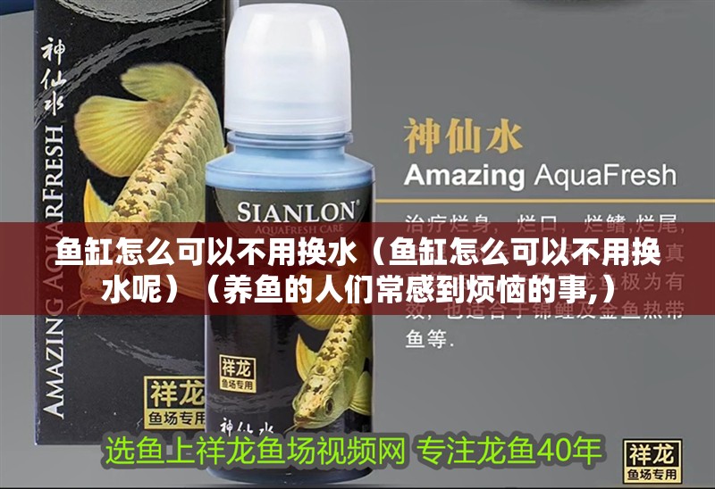魚缸怎么可以不用換水（魚缸怎么可以不用換水呢）（養魚的人們常感到煩惱的事,）