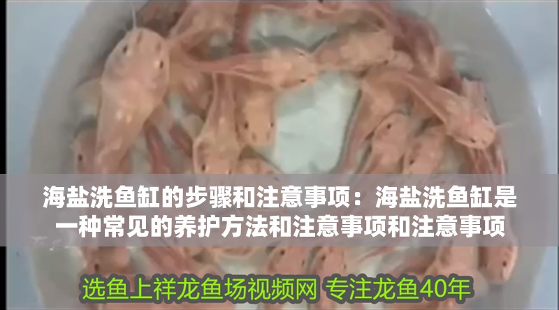 海鹽洗魚缸的步驟和注意事項：海鹽洗魚缸是一種常見的養護方法和注意事項和注意事項