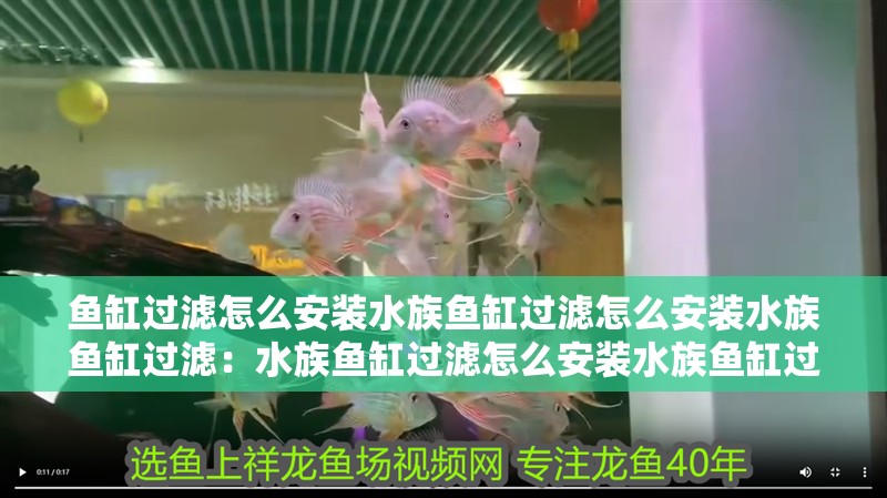 魚缸過濾怎么安裝水族魚缸過濾怎么安裝水族魚缸過濾：水族魚缸過濾怎么安裝水族魚缸過濾怎么安裝的圖解