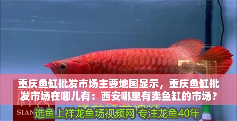 重慶魚缸批發(fā)市場主要地圖顯示，重慶魚缸批發(fā)市場在哪兒有：西安哪里有賣魚缸的市場？