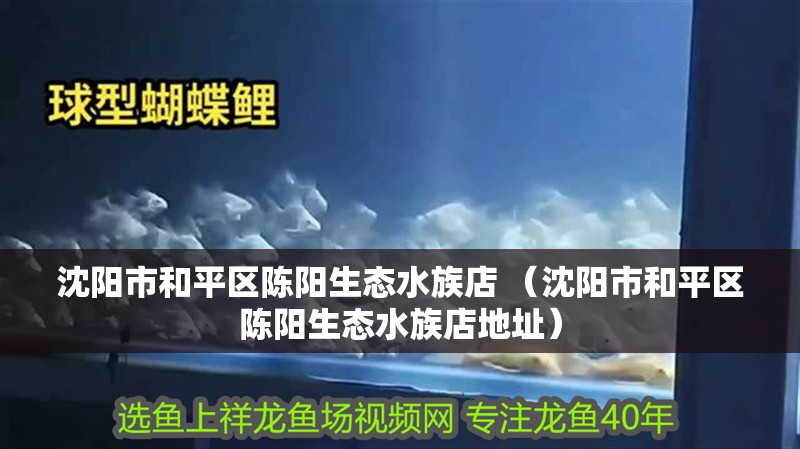 沈陽市和平區(qū)陳陽生態(tài)水族店 （沈陽市和平區(qū)陳陽生態(tài)水族店地址） 沈陽市和平區(qū)陳陽生態(tài)水族店 （沈陽市和平區(qū)陳陽生態(tài)水族店地址） 全國水族館企業(yè)名錄