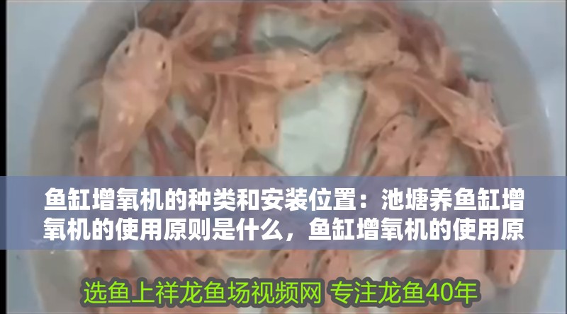 魚缸增氧機(jī)的種類和安裝位置：池塘養(yǎng)魚缸增氧機(jī)的使用原則是什么，魚缸增氧機(jī)的使用原則 魚缸增氧機(jī)的種類和安裝位置：池塘養(yǎng)魚缸增氧機(jī)的使用原則是什么，魚缸增氧機(jī)的使用原則 魚缸百科