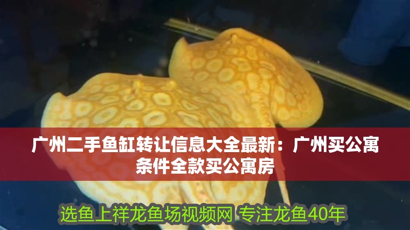 廣州二手魚缸轉讓信息大全最新：廣州買公寓條件全款買公寓房
