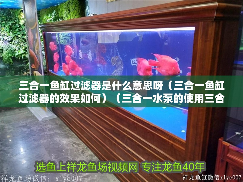 三合一魚缸過濾器是什么意思呀（三合一魚缸過濾器的效果如何）（三合一水泵的使用三合一水泵的用途是什么）