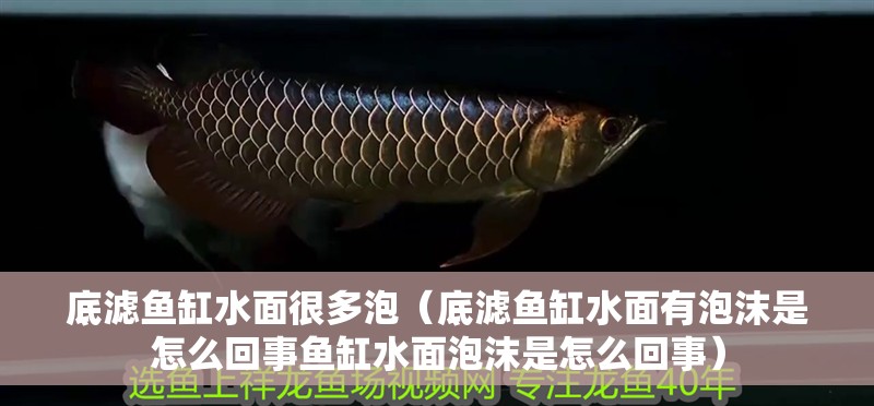 底濾魚缸水面很多泡（底濾魚缸水面有泡沫是怎么回事魚缸水面泡沫是怎么回事）