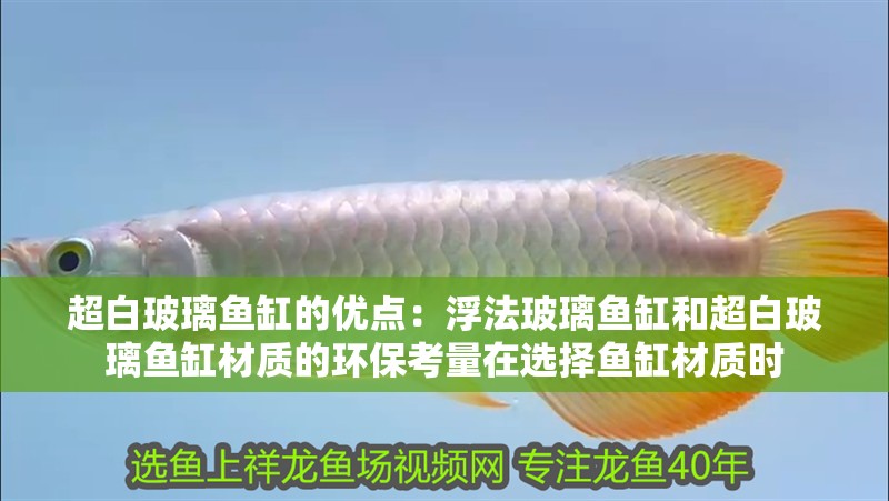 我的虎魚真菌感染了要怎么處理 超白玻璃魚缸的優點:浮法玻璃魚缸和超白玻璃魚缸材質的環保考量在選擇魚缸材質時 魚缸百科 超白玻璃魚缸的優點:浮法玻璃魚缸和超白玻璃魚缸材質的環保考量在選擇魚缸材質時 超白玻璃魚缸的優點:浮法玻璃魚缸和超白玻璃魚缸材質的環保考量在選擇魚缸材質時 魚缸百科