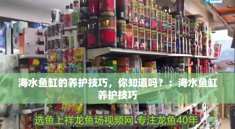 海水魚缸的養護技巧，你知道嗎？：海水魚缸養護技巧