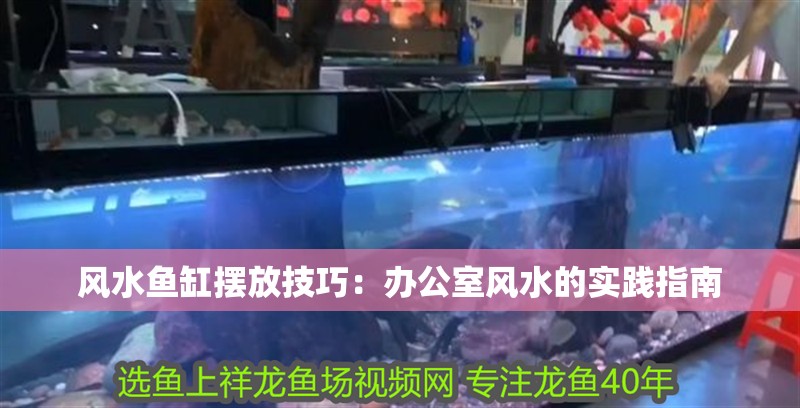 風水魚缸擺放技巧：辦公室風水的實踐指南