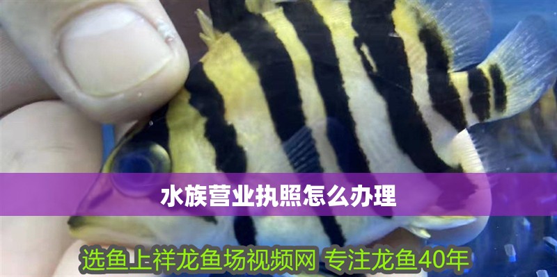 水族營業執照怎么辦理