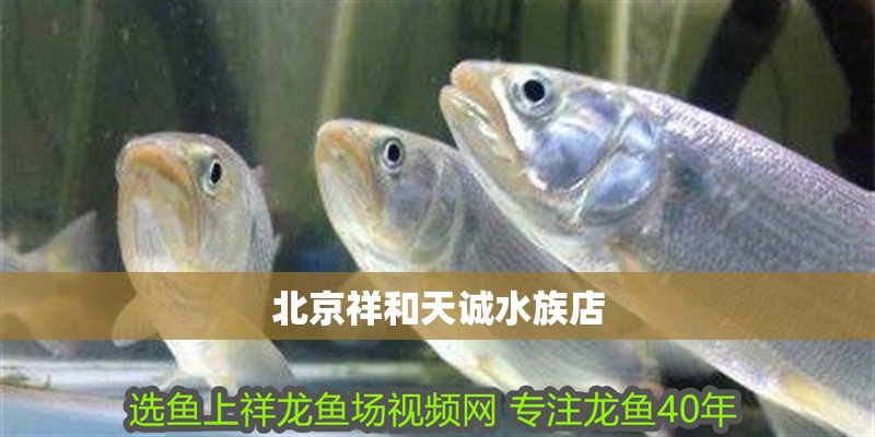 北京祥和天誠水族店 北京祥和天誠水族店 全國水族館企業名錄