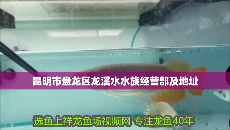 <strong><mark>昆明</mark></strong>市盤龍區龍溪水水族經營部及地址