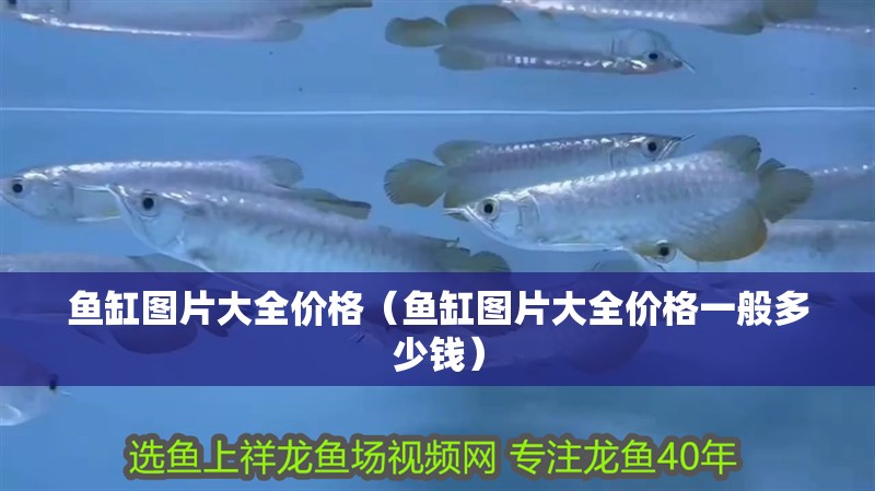 魚缸圖片大全價格（魚缸圖片大全價格一般多少錢）