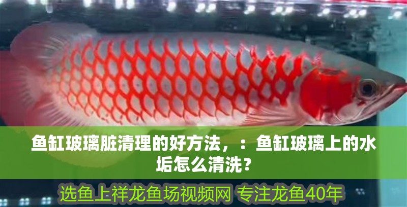 魚缸玻璃臟清理的好方法，：魚缸玻璃上的水垢怎么清洗？