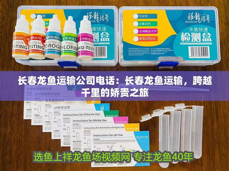 長春龍魚運輸公司電話：長春龍魚運輸，跨越千里的嬌貴之旅