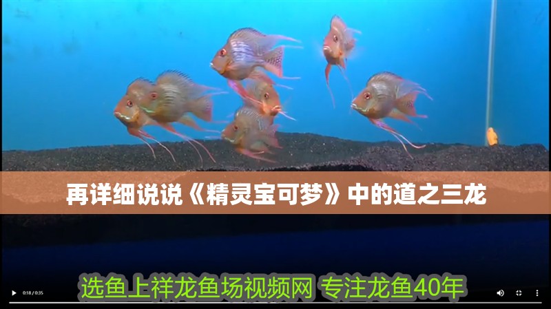 再詳細說說《精靈寶可夢》中的道之三龍