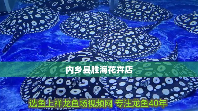 內鄉縣勝海花卉店