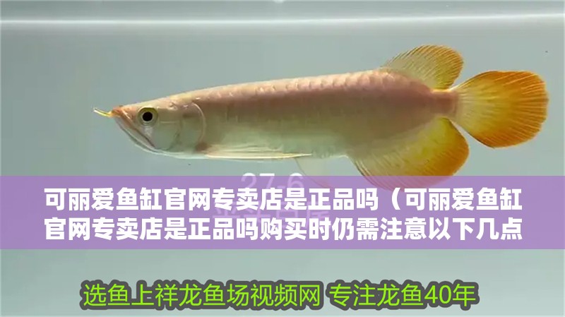 可麗愛魚缸官網(wǎng)專賣店是正品嗎（可麗愛魚缸官網(wǎng)專賣店是正品嗎購買時(shí)仍需注意以下幾點(diǎn)）