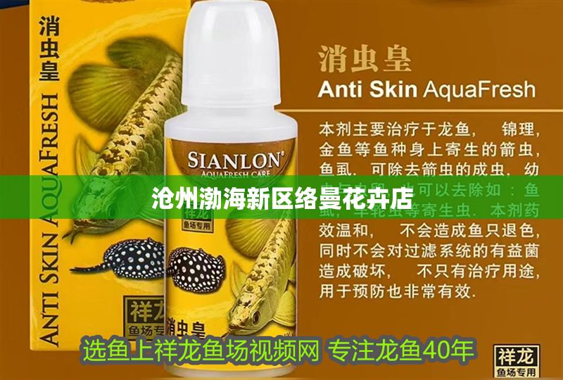 滄州渤海新區(qū)絡(luò)曼花卉店