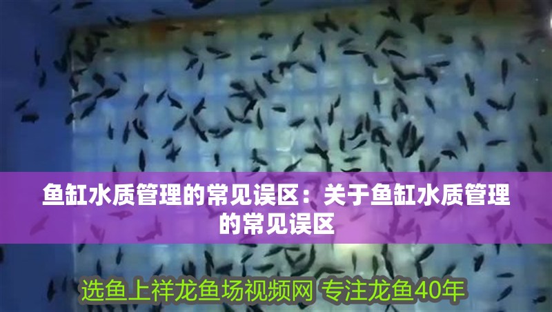 魚缸水質管理的常見誤區：關于魚缸水質管理的常見誤區