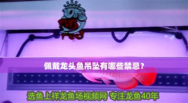 佩戴龍頭魚吊墜有哪些禁忌？ 佩戴龍頭魚吊墜有哪些禁忌？ 龍魚百科