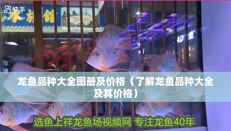 龍魚品種大全圖冊及價格（了解龍魚品種大全及其價格）