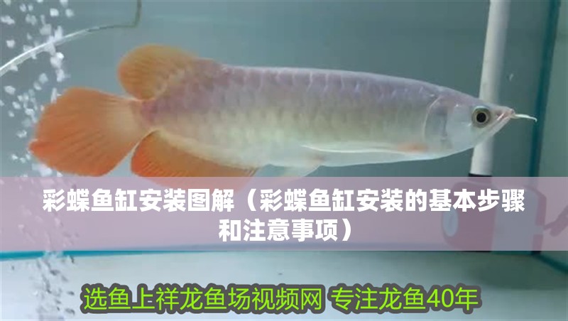 彩蝶魚缸安裝圖解（彩蝶魚缸安裝的基本步驟和注意事項(xiàng)）