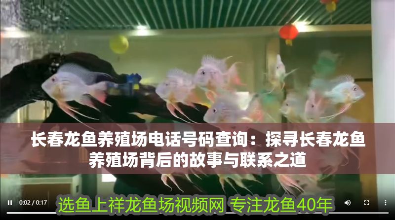 長春龍魚養殖場電話號碼查詢：探尋長春龍魚養殖場背后的故事與聯系之道