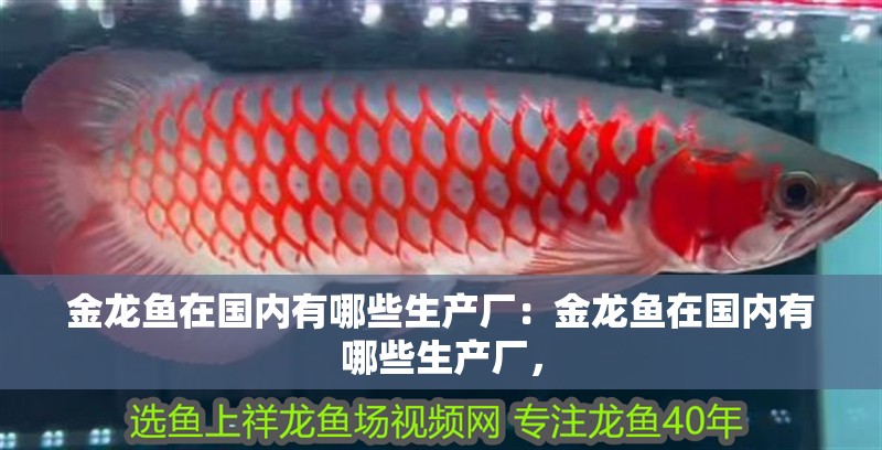 金龍魚在國內有哪些生產廠：金龍魚在國內有哪些生產廠，