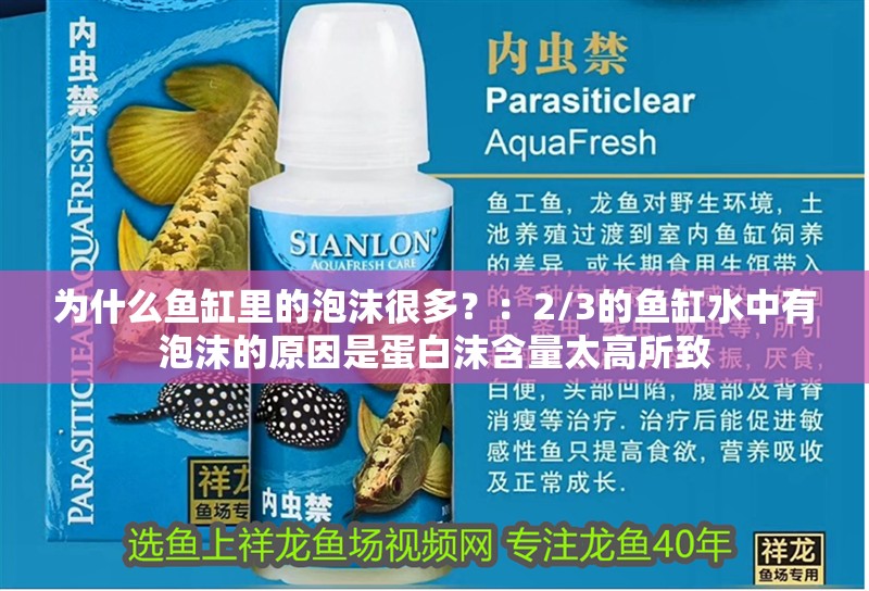 為什么魚缸里的泡沫很多？：2/3的魚缸水中有泡沫的原因是蛋白沫含量太高所致 為什么魚缸里的泡沫很多？：2/3的魚缸水中有泡沫的原因是蛋白沫含量太高所致 魚缸百科