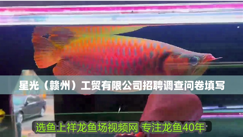 魚缸造景先放沙還是先放水(魚缸造景先鋪沙還是先放石頭) 星光(贛州)工貿(mào)有限公司招聘調(diào)查問卷填寫 全國水族館企業(yè)名錄 星光(贛州)工貿(mào)有限公司招聘調(diào)查問卷填寫 星光(贛州)工貿(mào)有限公司招聘調(diào)查問卷填寫 全國水族館企業(yè)名錄