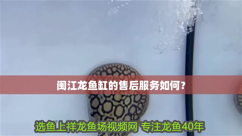 閩江龍魚缸的售后服務如何？