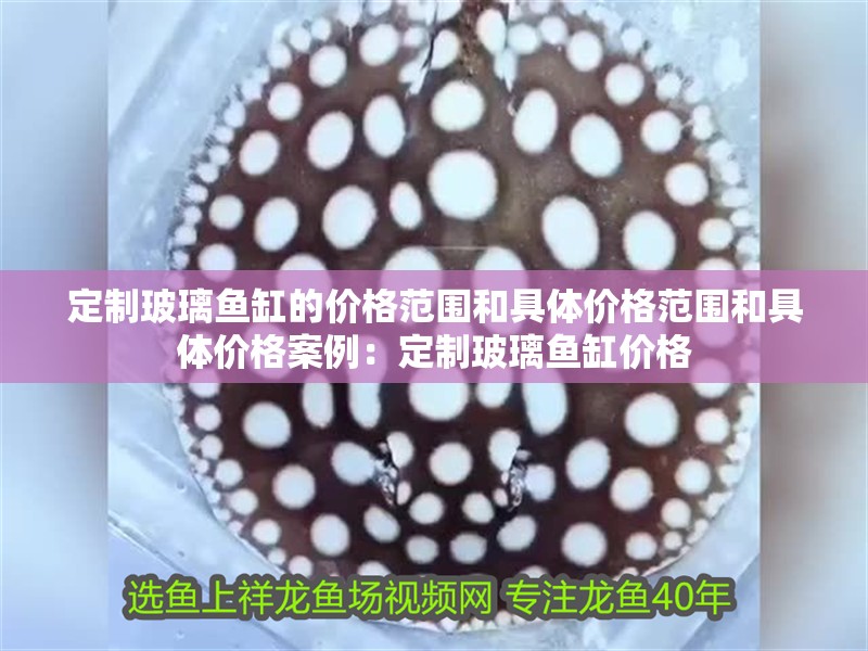 定制玻璃魚缸的價(jià)格范圍和具體價(jià)格范圍和具體價(jià)格案例：定制玻璃魚缸價(jià)格