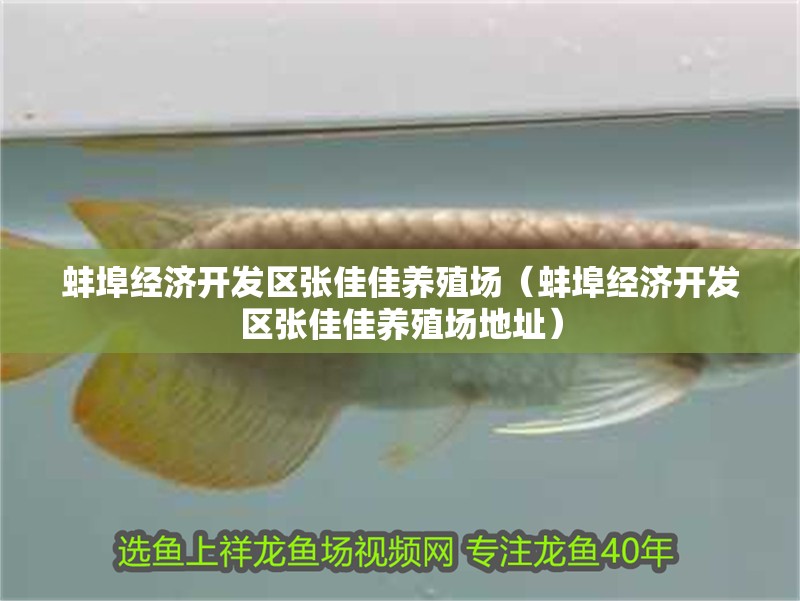 蚌埠經濟開發區張佳佳養殖場（蚌埠經濟開發區張佳佳養殖場地址）