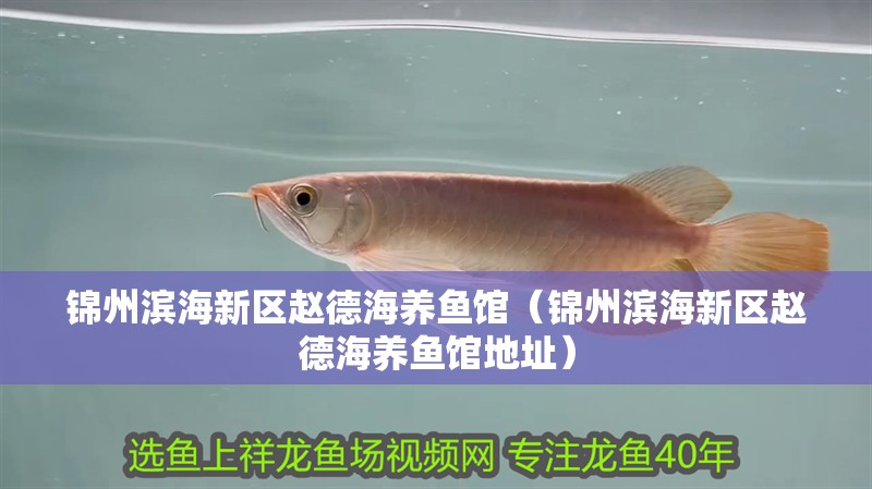 錦州濱海新區(qū)趙德海養(yǎng)魚館（錦州濱海新區(qū)趙德海養(yǎng)魚館地址）