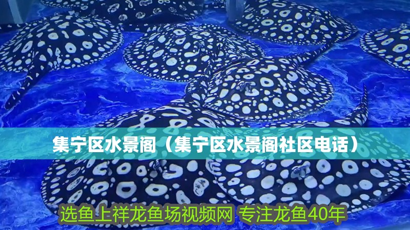 集寧區(qū)水景閣（集寧區(qū)水景閣社區(qū)電話） 集寧區(qū)水景閣（集寧區(qū)水景閣社區(qū)電話） 全國水族館企業(yè)名錄