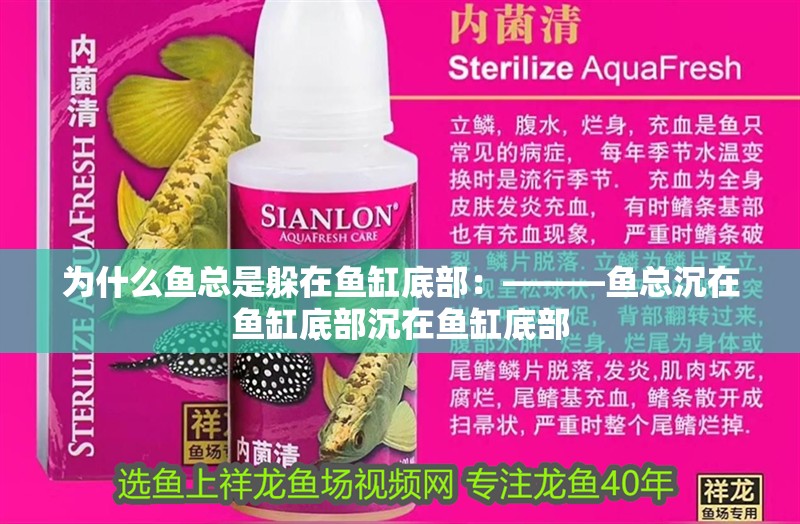為什么魚總是躲在魚缸底部：———魚總沉在魚缸底部沉在魚缸底部