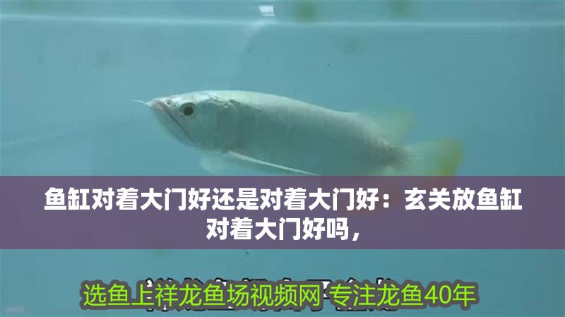 魚缸過濾器選購指南:自制魚缸過濾器魚缸上置過濾器對于養魚愛好者的必備知識 魚缸對著大門好還是對著大門好:玄關放魚缸對著大門好嗎, 魚缸百科 魚缸對著大門好還是對著大門好:玄關放魚缸對著大門好嗎, 魚缸對著大門好還是對著大門好:玄關放魚缸對著大門好嗎, 魚缸百科