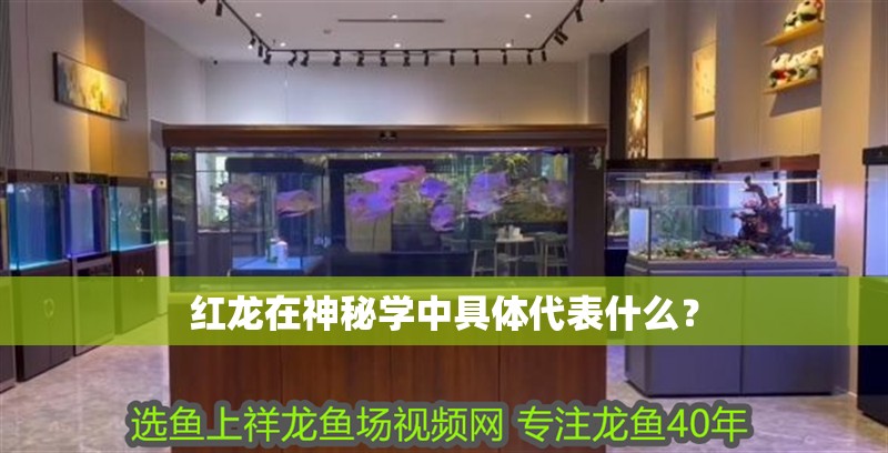 紅龍在神秘學中具體代表什么？