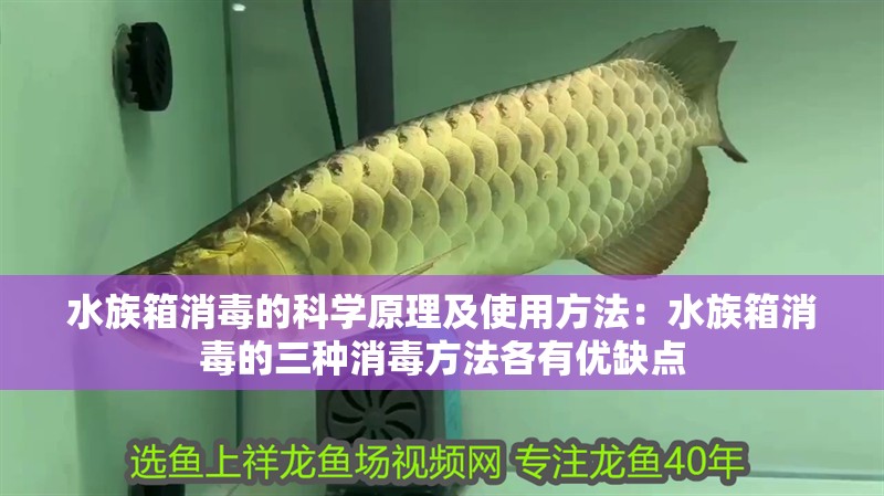 鸚鵡魚和銀龍魚混養(yǎng)怎樣喂食 水族箱消毒的科學(xué)原理及使用方法:水族箱消毒的三種消毒方法各有優(yōu)缺點(diǎn) 魚缸百科 水族箱消毒的科學(xué)原理及使用方法:水族箱消毒的三種消毒方法各有優(yōu)缺點(diǎn) 水族箱消毒的科學(xué)原理及使用方法:水族箱消毒的三種消毒方法各有優(yōu)缺點(diǎn) 魚缸百科