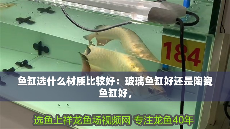 紅龍魚用黃燈烤有用嗎 魚缸選什么材質比較好:玻璃魚缸好還是陶瓷魚缸好, 魚缸百科 魚缸選什么材質比較好:玻璃魚缸好還是陶瓷魚缸好, 魚缸選什么材質比較好:玻璃魚缸好還是陶瓷魚缸好, 魚缸百科