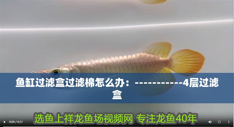 魚缸過濾盒過濾棉怎么辦：-----------4層過濾盒