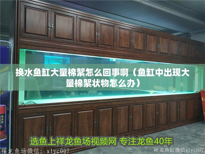 換水魚缸大量棉絮怎么回事啊（魚缸中出現大量棉絮狀物怎么辦）