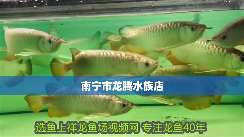 南寧市龍騰水族店