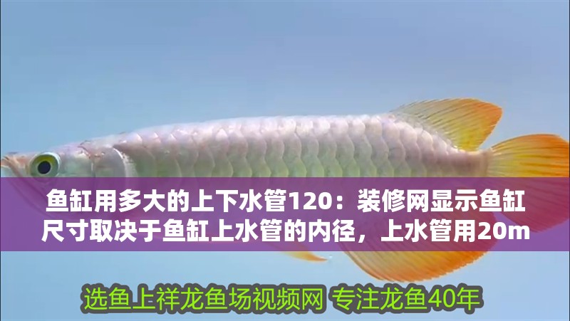 魚缸用多大的上下水管120：裝修網顯示魚缸尺寸取決于魚缸上水管的內徑，上水管用20mm的內徑