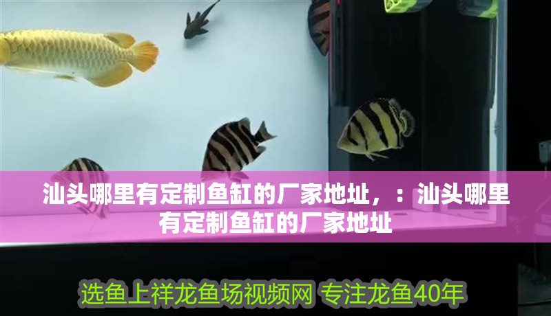 汕頭哪里有定制魚缸的廠家地址，：汕頭哪里有定制魚缸的廠家地址 汕頭哪里有定制魚缸的廠家地址，：汕頭哪里有定制魚缸的廠家地址 魚缸百科