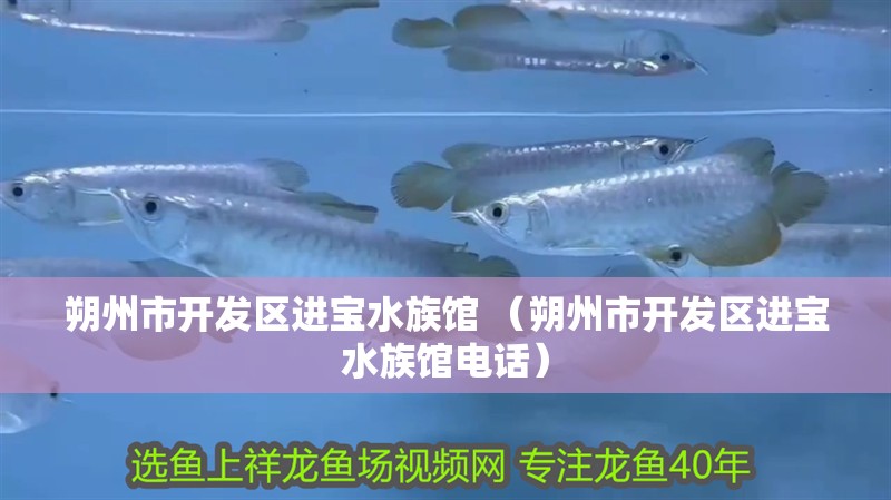 朔州市開發區進寶水族館 （朔州市開發區進寶水族館電話）