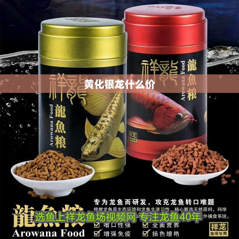 黃化銀龍什么價
